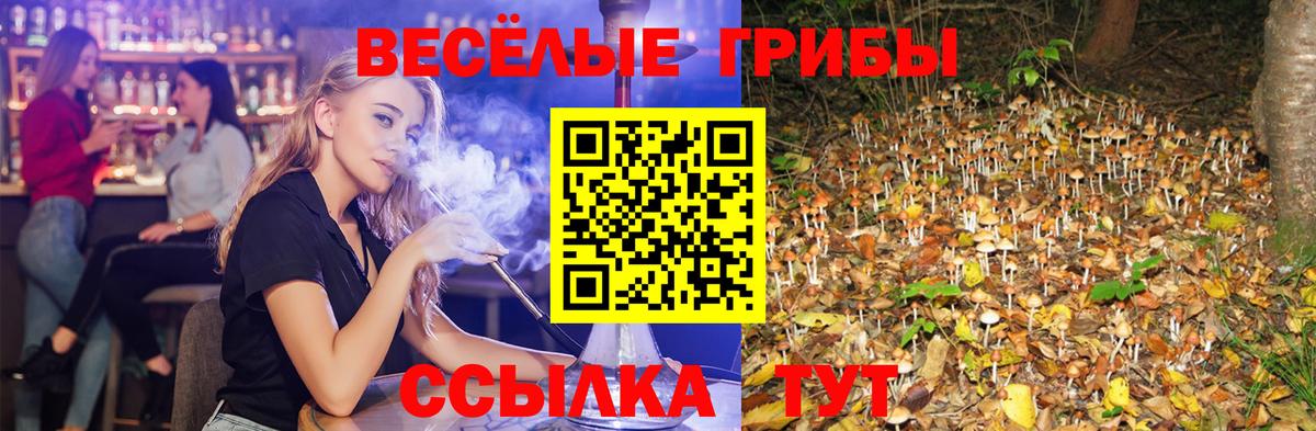 Сокол  Галлюциногенные грибы Psilocybine cubensis  наркота  Вход с VPN 