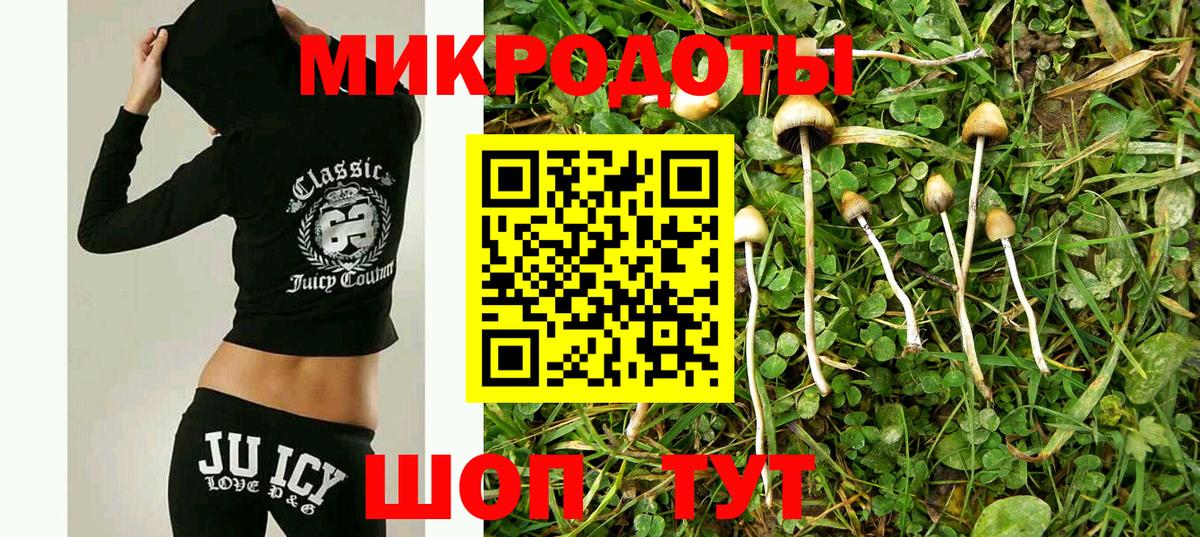 Галлюциногенные грибы MAGIC MUSHROOMS Сокол